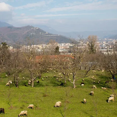 Caledonia 3* Mercato San Severino