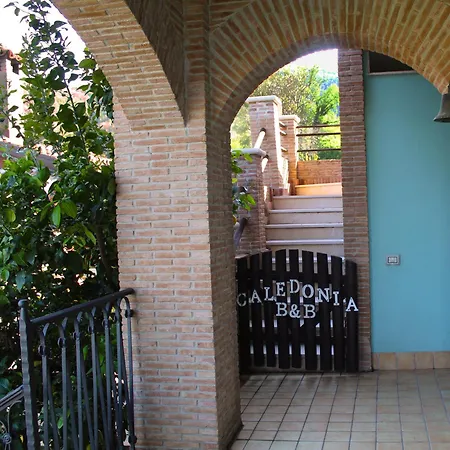 Caledonia Mercato San Severino