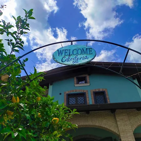 Caledonia Bed & Breakfast *