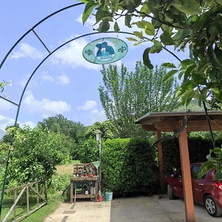 Bed & Breakfast Caledonia 3*