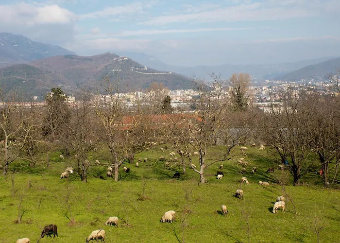 Caledonia 3* מרקטו סן סברינו