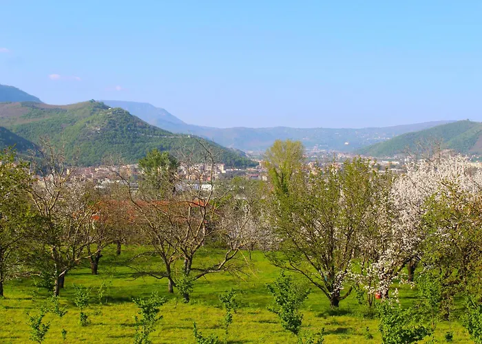 Caledonia לינה וארוחת בוקר 3*