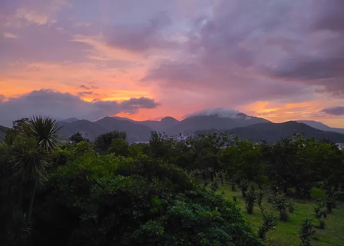 לינה וארוחת בוקר Caledonia