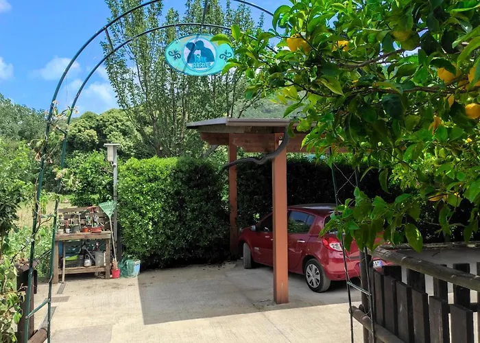 Caledonia מרקטו סן סברינו